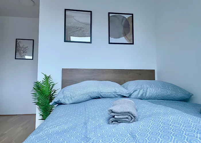 Modern Rooftop With Free Parking Appartement